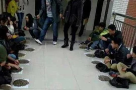 Trung Quốc: Sinh viên ăn vặt bị phạt cắn 50kg hạt hướng dương