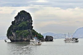 Triển lãm ảnh di sản Việt Nam quy tụ 100 tác phẩm xuất sắc