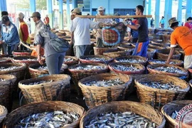 Một chợ cá ở Indonesia. (Nguồn: antaranews.com)