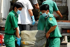 Lực lượng chức năng thu giữ và tiêu hủy số thịt thối. Ảnh minh họa: Mạnh Linh/TTXVN)