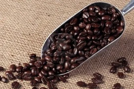 Ảnh minh họa. (Nguồn: 123rf.com)