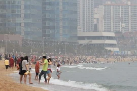 Bãi tắm Haeundae ở thành phố cảng Busan đã bắt đầu đông người ngay từ những ngày cuối tháng Năm. (Ảnh: Anh Nguyên/Vietnam+)