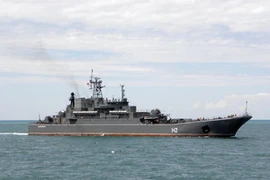 Tàu chiến Novocherkassk của Nga. (Nguồn: politicalhotwire.com)
