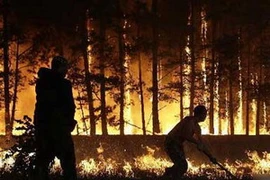 Ảnh minh họa. (Nguồn: Internet)