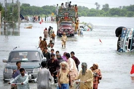 Lũ lụt tại Pakistan cướp đi sinh mạng của 371 người. (Ảnh: AFP) 