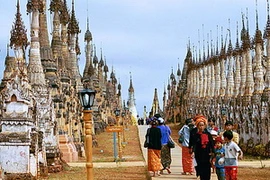 Ảnh minh họa. (Nguồn: bugbog.com)