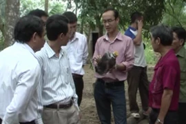 Đoàn kiểm tra tại nhà ông Nguyễn Hoài Thanh. (Ảnh: Nguyễn Văn Nhật/TTXVN)