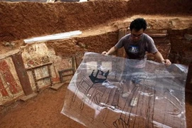 Ảnh minh họa. (Nguồn: Daily Mail)