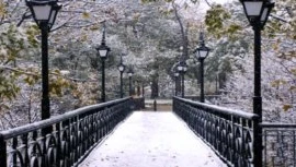 Cầu Tình yêu nổi tiếng. (Ảnh: vgorode.ua)