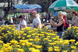 Gần 41.000 khách nước ngoài đến Huế trong Tết