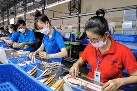 Các doanh nghiệp tại Cần Thơ phục hồi sản xuất sau dịch COVID-19. (Ảnh: Thanh Liêm/TTXVN)