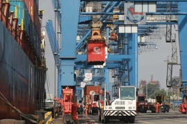 Hơn 99% tờ khai hải quan đã được số hóa phục vụ quản lý hải quan và thống kê hải quan. (Ảnh: Vietnam+)