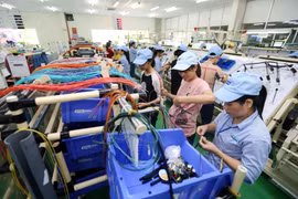 Với mục tiêu tăng trưởng kinh tế dự kiến 7%, quý 3 sẽ phải đạt mức tăng trưởng là 9% và quý 4 tăng 6,3%. (Ảnh: TTXVN)