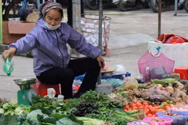 Chỉ số giá tiêu dùng tháng Sáu tăng 0,69% so với tháng Năm. (Ảnh: Hạnh Nguyễn/Vietnam+)