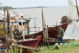 Ngư dân Ninh Bình chủ động neo đậu tàu thuyền vào nơi tránh trú bão an toàn. (Ảnh: Hải Yến/TTXVN)