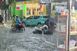 (Ảnh: TTXVN phát)