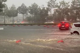 Nhiều khu vực trên cả nước có mưa. (Ảnh: TTXVN phát)