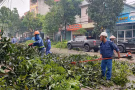 Công nhân Công ty Cổ phần Môi trường Đô thị tỉnh Lào Cai cắt dọn cây xanh bị gãy đổ để đảm bảo an toàn giao thông. (Ảnh: Quốc Khánh/TTXVN)