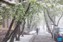 Tuyết rơi ở Moskva suốt hai ngày 8-9/5. (Nguồn: Xinhua)