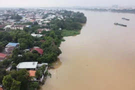 Khu vực sông Đồng Nai. (Ảnh: Sỹ Tuyên/TTXVN)