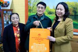 Phó Chủ tịch nước Võ Thị Ánh Xuân trao quà cho ông Đỗ Đức Tiếp, thương binh hạng 1/4 tổ dân phố An Bình, thị trấn Vũ Thư, huyện Vũ Thư, tỉnh Thái Bình. (Ảnh: Thế Duyệt/TTXVN)