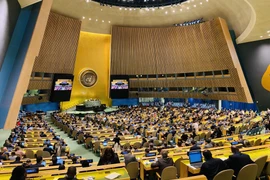 Phiên bầu chọn 5 nước ủy viên không thường trực mới của Hội đồng Bảo an Liên hợp quốc, ngày 6/6/2023. (Ảnh: Yonhap/TTXVN)