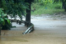 Quốc lộ 4D bị ngập sâu khiến nhiều phương tiện không thể di chuyển, sáng 9/9. (Ảnh: Quốc Khánh/TTXVN)