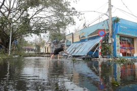 Quận Đồ Sơn sau cơn bão. (Ảnh: Minh Quyết/TTXVN)