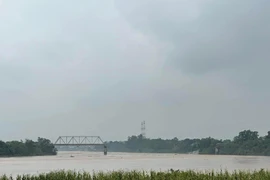 Cận cảnh cầu Phong Châu ở tỉnh Phú Thọ bị sập