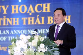Phó Thủ tướng Chính phủ Trần Lưu Quang phát biểu. (Ảnh: Thế Duyệt/TTXVN)