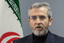 Quyền Ngoại trưởng Iran Ali Bagheri Kani. (Nguồn: AP)