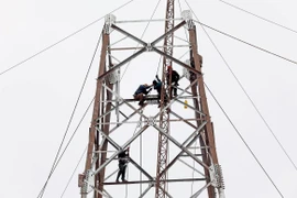 Tuyến đường dây 500kV mạch 3 đi qua tỉnh Ninh Bình có chiều dài 7,83km. (Ảnh: Huy Hùng/TTXVN)