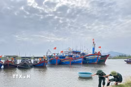 Ứng phó áp thấp nhiệt đới. (Nguồn: TTXVN)