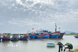 Ứng phó áp thấp nhiệt đới. (Nguồn: TTXVN)