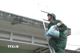 Bộ đội biên phòng hỗ trợ nhân dân ứng phó áp thấp nhiệt đới. (Nguồn: TTXVN)