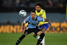 Uruguay và Brazil sẽ quyết đấu tranh vé bán kết Copa America 2024. (Nguồn: AFP)