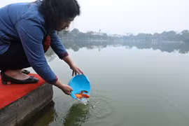 Tiễn ông Công ông Táo về Trời, Tết đã đến rồi