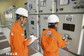 Ảnh minh họa. (Nguồn: TTXVN)