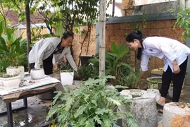 Cán bộ y tế xã Hòa Lâm, huyện Ứng Hòa, hướng dẫn người dẫn vệ sinh môi trường sau nước rút tại hộ gia đình. (Ảnh: TTXVN phát)