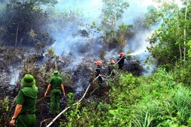 Các lực lượng được huy động để dập tắt vụ cháy. (Ảnh: Tá Chuyên/TTXVN)