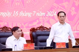 Bộ trưởng Bộ Ngoại giao Bùi Thanh Sơn phát biểu tại buổi làm việc. (Ảnh: Trung Kiên/TTXVN)