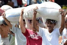 Người dân bốc xếp gạo từ nhà kho ở Tacloban, Philippines. (Ảnh: AFP/TTXVN)