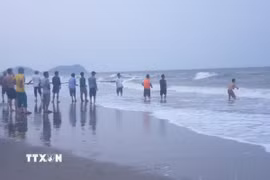 Ảnh minh họa. (Nguồn: TTXVN)