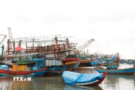 Chủ động ứng phó áp thấp nhiệt đới. (Ảnh: Nguyên Lý/TTXVN)