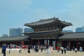 Ảnh minh họa. (Nguồn: Vietnam+)