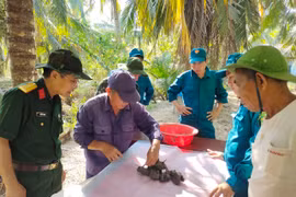 Tìm kiếm, quy tập hài cốt liệt sĩ tại nghĩa trang Hàng Me. (Ảnh TTXVN phát)