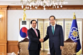 Thủ tướng Hàn Quốc Han Duck-soo tiếp Bộ trưởng Ngoại giao Bùi Thanh Sơn ngày 31/5. (Ảnh: Khánh Vân/TTXVN)