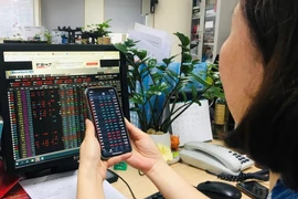 Ảnh minh họa. (Nguồn: Vietnam+)