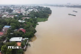 Ảnh minh họa.(Nguồn: TTXVN)