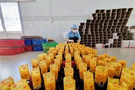 Đóng chai nước mắm tại Cơ sở sản xuất nước mắm Quang Minh (xã Cà Ná, huyện Thuận Nam). (Ảnh: Nguyễn Thành/TTXVN)